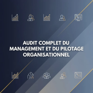 Audit complet du management et du pilotage organisationnel