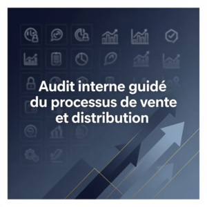 Audit interne guidé du processus de vente et distribution